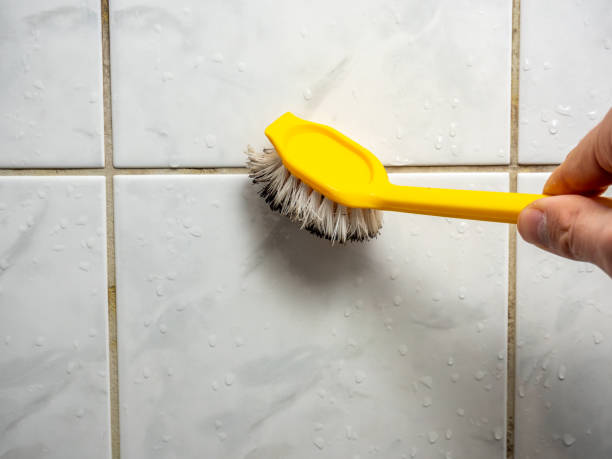 Best Mold Cleaning Services  in Maitland, FL