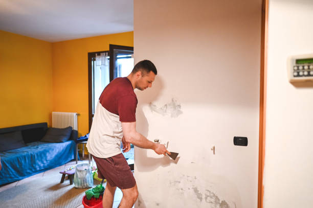 Best Attic Mold Removal  in Maitland, FL